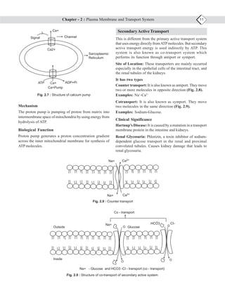 Jepri’s Medical Biochemistry For CTP 21-6-2024 for slideshare upload-1 ...