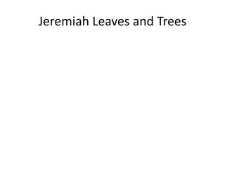 Jeremiah Leaves and Trees 