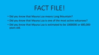 FACT FILE!
• Did you know that Mauna Loa means Long Mountain?
• Did you know that Mauna Loa is one of the most active volcanoes?
• Did you know that Mauna Loa is estimated to be 1000000 or 600,000
years old.
 