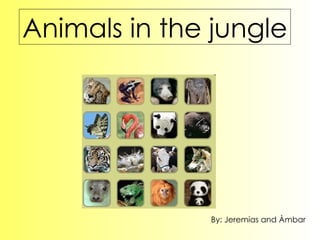 Animals in the jungle By: Jeremias and Àmbar 