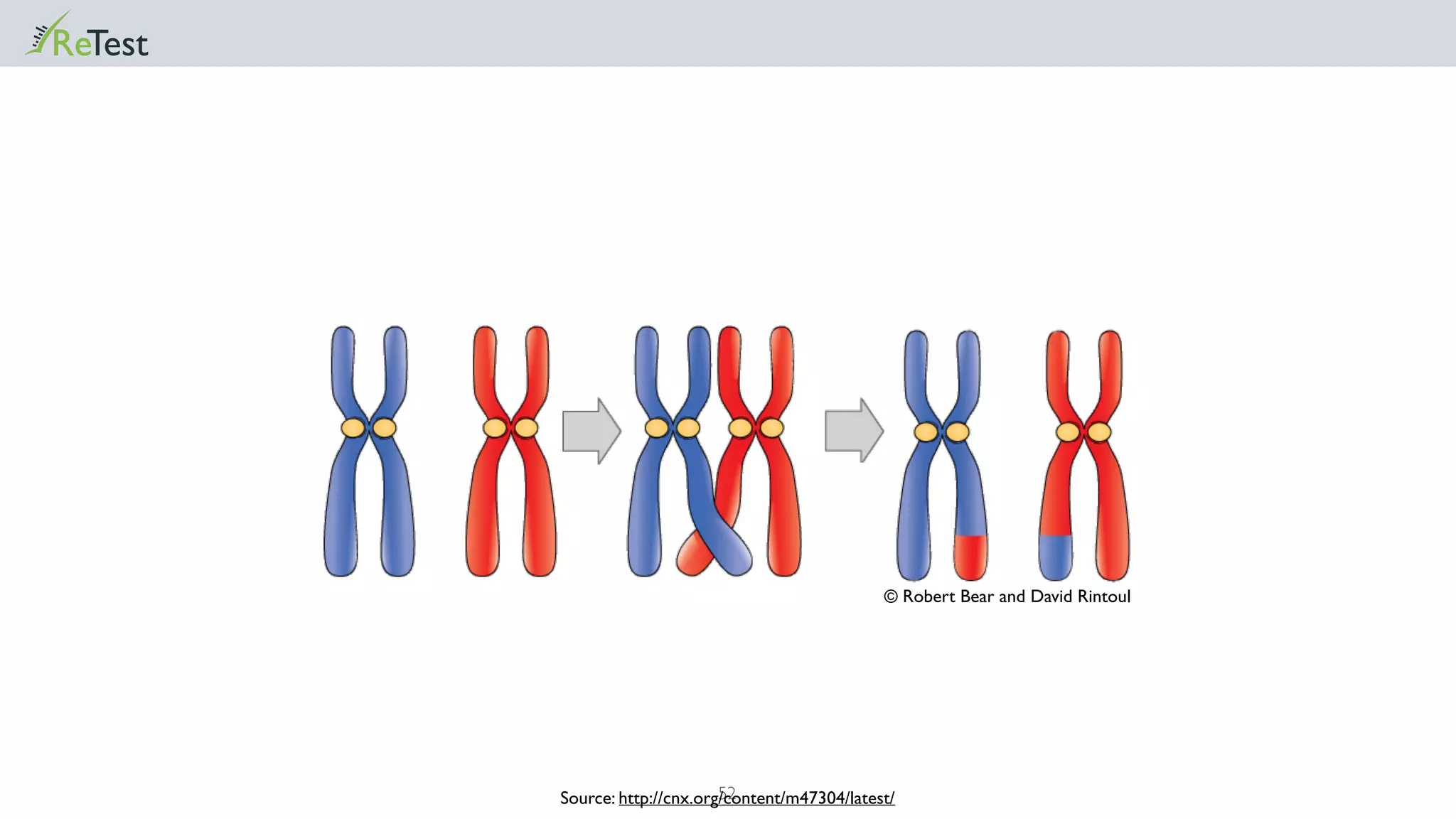 52Source: http://cnx.org/content/m47304/latest/
© Robert Bear and David Rintoul
 