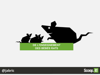 @jabric
DE L’ENSEIGNEMENT
DES BÉBÉS RATS
 