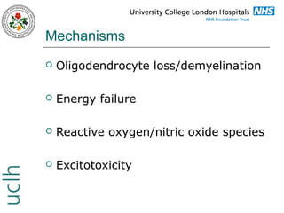 Mechanisms


Oligodendrocyte loss/demyelination



Energy failure



Reactive oxygen/nitric oxide species



Excitotoxicity

 