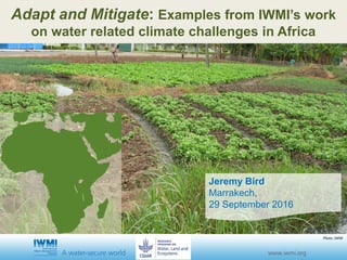 Jeremy Bird
Marrakech,
29 September 2016
Adapt and Mitigate: Examples from IWMI’s work
on water related climate challenges in Africa
Photo: IWMI
 