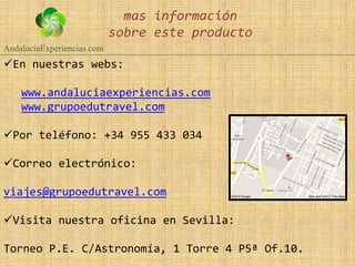 mas información
                            sobre este producto
AndalucíaExperiencias.com
En nuestras webs:

    www.andaluciaexperiencias.com
    www.grupoedutravel.com

Por teléfono: +34 955 433 034

Correo electrónico:

viajes@grupoedutravel.com

Visita nuestra oficina en Sevilla:

Torneo P.E. C/Astronomía, 1 Torre 4 P5ª Of.10.
 