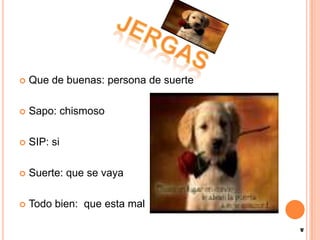 Que de buenas: persona de suerteSapo: chismosoSIP: siSuerte: que se vayaTodo bien: que esta malJERGAS
