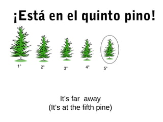 ¡Está en el quinto pino!
It’s far away
(It’s at the fifth pine)
5°3°
1° 2° 4°
 