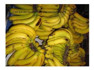 C’est que des bananes mais elles sont belles non ? 