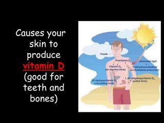 Causes your
skin to
produce
vitamin D
(good for
teeth and
bones)
 