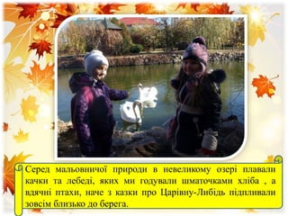 Серед мальовничої природи в невеликому озері плавали
качки та лебеді, яких ми годували шматочками хліба , а
вдячні птахи, наче з казки про Царівну-Либідь підпливали
зовсім близько до берега.
 