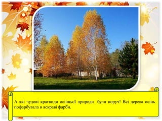 А які чудові краєвиди осінньої природи були поруч! Всі дерева осінь
пофарбувала в яскраві фарби.
 