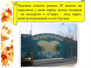Чудовим осіннім ранком 29 жовтня ми
вирушили у свою першу далеку подорож
- на екскурсію в «Страус – ленд парк»,
який розташований в селі Грузьке
 