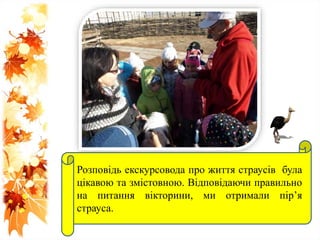 Розповідь екскурсовода про життя страусів була
цікавою та змістовною. Відповідаючи правильно
на питання вікторини, ми отримали пір’я
страуса.
 