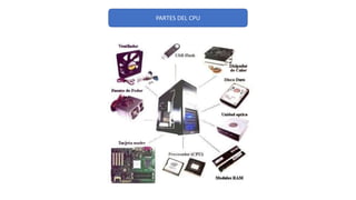 PARTES DEL CPU
 