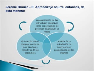 Jerome Bruner – El Aprendizaje ocurre, entonces, de
esta manera:
 