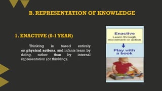 B. REPRESENTATION OF KNOWLEDGE
Thinking is based entirely
on physical actions, and infants learn by
doing, rather than by internal
representation (or thinking).
1. ENACTIVE (0-1YEAR)
 