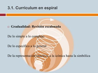 3.1. Currículum en espiral



   Gradualidad: Revisión escalonada

De lo simple a lo complejo

De lo específico a lo general

De la representación enactiva, a la icónica hasta la simbólica
 