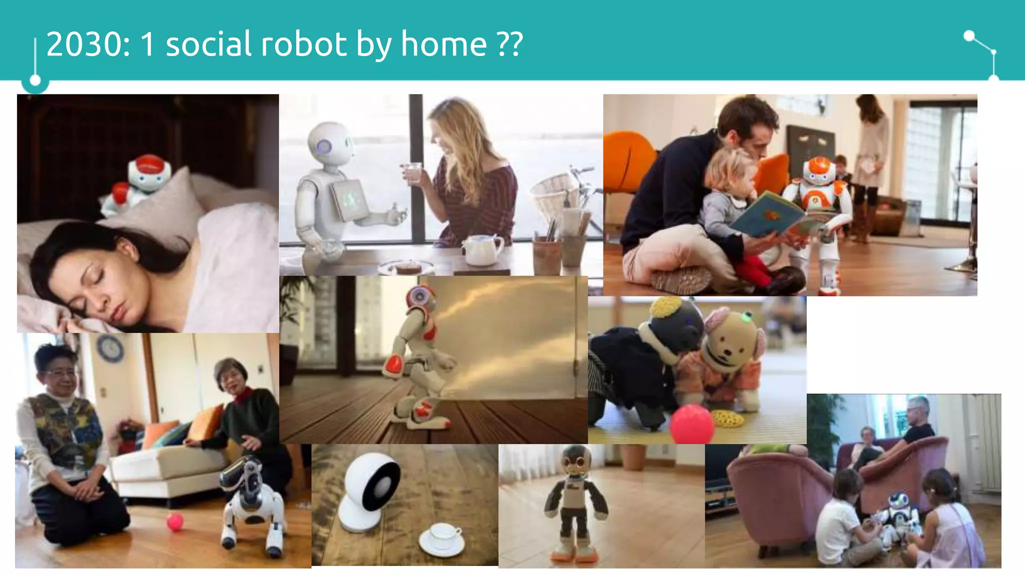 2030: 1 social robot by home ??
 