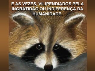 E AS VEZES, VILIPENDIADOS PELA
INGRATIDÃO OU INDIFERENÇA DA
HUMANIDADE.
 