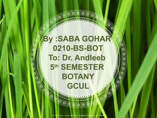 By :SABA GOHAR
0210-BS-BOT
To: Dr. Andleeb
5th
SEMESTER
BOTANY
GCUL
ALLPPT.com _ Free PowerPoint Templates, Diagrams and Charts
 