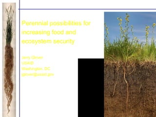 Perennial possibilities for
increasing food and
ecosystem security
Jerry Glover
USAID
Washington, DC
jglover@usaid.gov
 