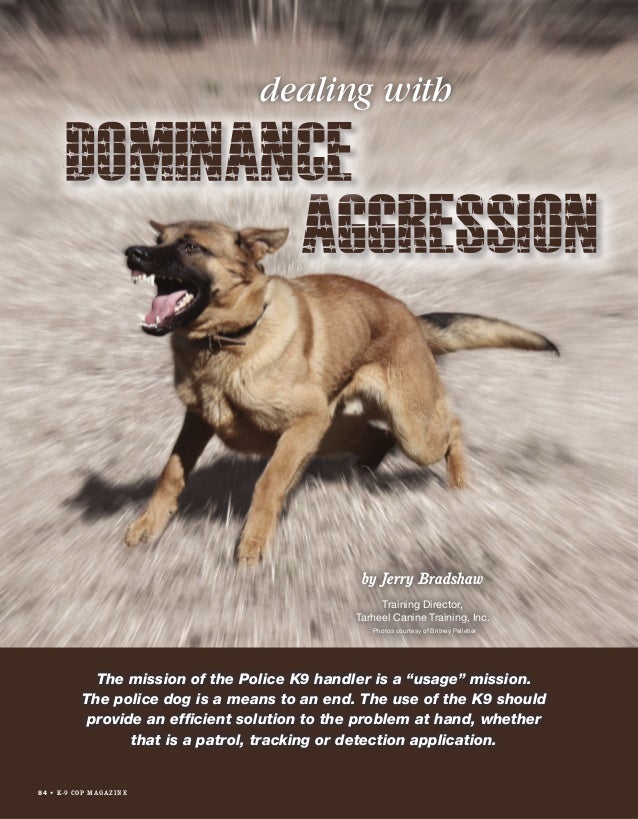 what is dominance aggression behavior