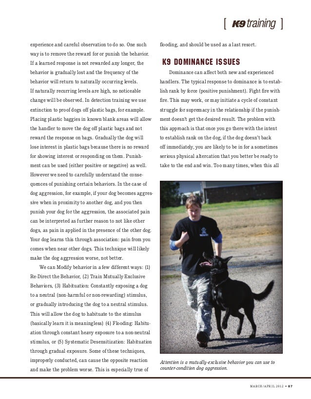 what is the definition of dominance aggression