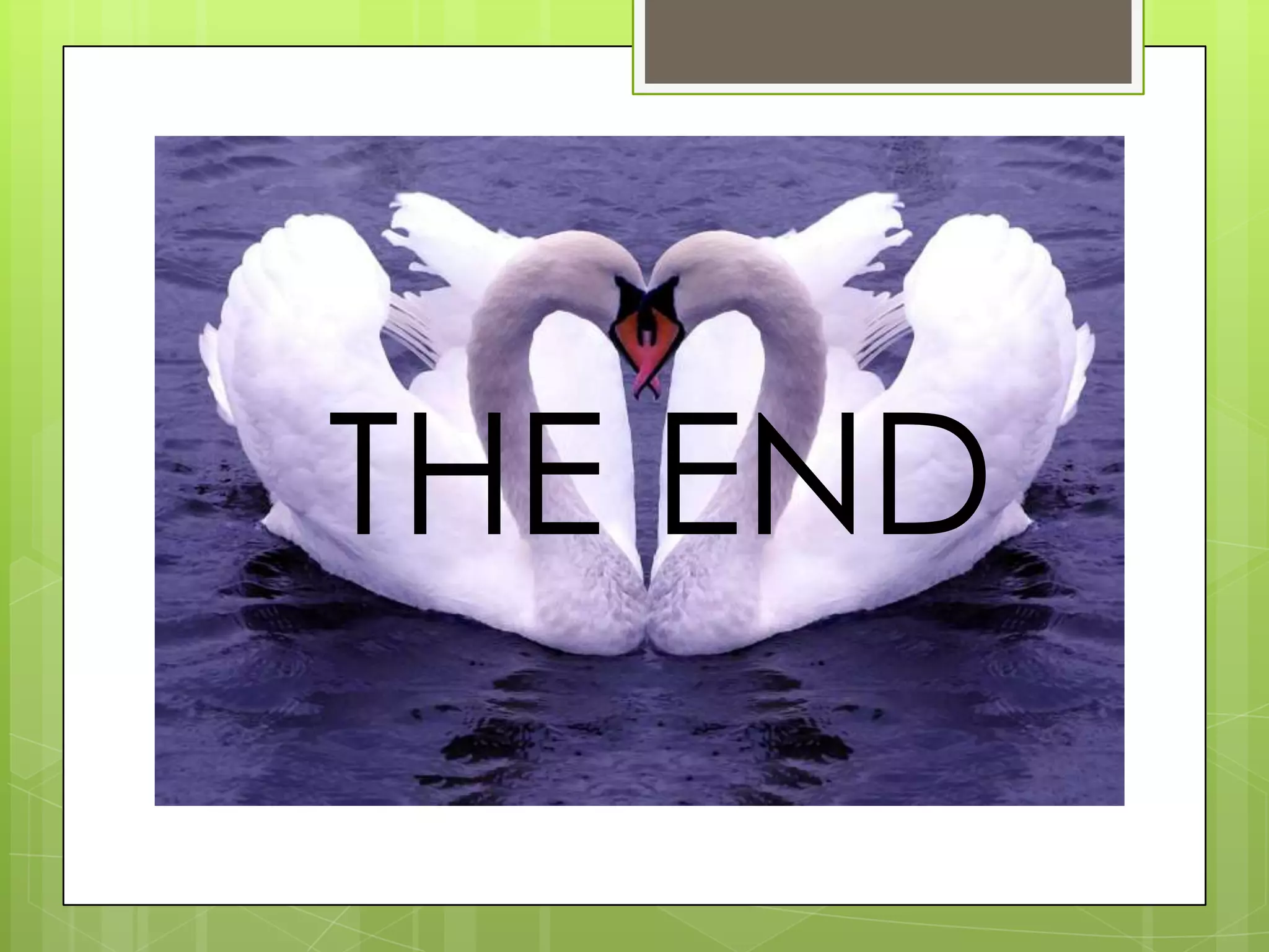THE END
THE END
 