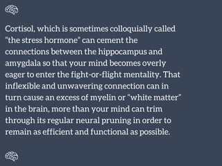 Build A Better Brain - 3 Tips to Stay Sharp