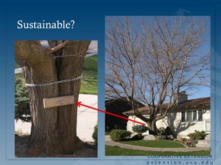 Sustainable?




               extension.usu.edu
 