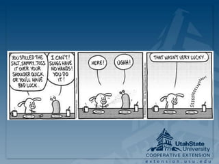 extension.usu.edu
 