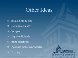 Other Ideas
 Build a healthy soil

 Use organic mulch

 Compost

 Irrigate efficiently

 Prune selectively

 Diagnose problems correctly

 Diversity
                                extension.usu.edu
 