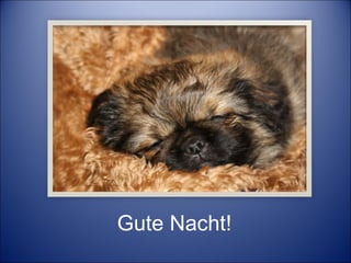 Gute Nacht! 