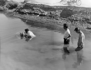 Jerry watkinson collection   early baptisms 1960s