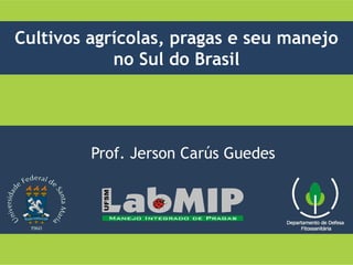 Prof. Jerson Carús Guedes
Cultivos agrícolas, pragas e seu manejo
no Sul do Brasil
 