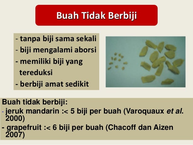 Jeruk