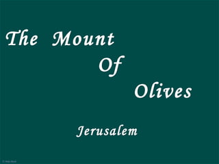 Mount of Olives
                                                    Jerusalem
  The Mount                        The Mount of Olives is a mountain ridge in east Jerusalem with three peaks running
                                   from north to south.
                                   The Mount of Olives is associated with Jewish and


         Of
 Mount of Olives today, circa 1899
                                   Christian traditions. From Biblical times until today,
                                   Jews have been buried on the Mount of Olives. There
                                   are an estimated 150,000 graves on the Mount.
The Mount of Olives is first mentioned in connection with David’s flight from Avshalom (II Samuel15:30):
                                                                                                         Mount of Olives today




east of the City of David, near the village of Silwan.                       Olives
"And David went up by the ascent of the Mount of Olives, and wept as he went up." The ascent was probably

                            The Mount of Olives is frequently mentioned in the New Testament as the route from Jerusalem
                            to Bethany and the place where Jesus stood when he wept over Jerusalem. Jesus is said to have
                            spent time on the mount, teaching and prophesying to his disciples, including the Olivet
                            discourse, returning after each day to rest, and also coming there on the night of his betrayal. At


Garden of Gethsemane
                                           Jerusalem
                            the foot of the Mount of Olives lies the Garden of Gethsemane. The New Testament, tells how
                            Jesus and his friends sang together - "When they had sung the hymn, they went out to the
                            Mount of Olives" Gospel of Matthew. Jesus ascended to heaven from the Mount of Olives.
Landmarks on the Mount of Olives include the the Church of all Nations, the Garden of Gethsemane, the
Church of Maria Magdalena, Dominus Flevit Church, the Church of Pater Noster , the Mary’s Tomb.
© Miki Pitish
 