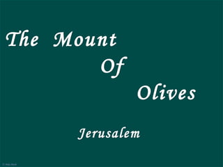 Mount of Olives Jerusalem Mount of Olives today Mount of Olives today, circa 1899 The Mount of Olives  is a mountain ridge in east Jerusalem with three peaks running from north to south. The Mount of Olives is associated with Jewish and Christian traditions. From Biblical times until today, Jews have been buried on the Mount of Olives. There are an estimated 150,000 graves on the Mount. The Mount of Olives is first mentioned in connection with David’s flight from Avshalom (II Samuel15:30): &quot;And David went up by the ascent of the Mount of Olives, and wept as he went up.&quot; The ascent was probably east of the City of David, near the village of Silwan. The Mount of Olives is frequently mentioned in the New Testament as the route from Jerusalem to Bethany and the place where Jesus stood when he wept over Jerusalem. Jesus is said to have spent time on the mount, teaching and prophesying to his disciples, including the Olivet discourse, returning after each day to rest, and also coming there on the night of his betrayal. At the foot of the Mount of Olives lies the Garden of Gethsemane. The New Testament, tells how Jesus and his friends sang together - &quot;When they had sung the hymn, they went out to the Mount of Olives&quot;  Gospel  of  Matthew. Jesus  ascended to heaven  from the Mount of Olives. Garden of Gethsemane Landmarks on the Mount of Olives include the the  Church of all Nations , the  Garden of Gethsemane , the  Church of Maria Magdalena ,  Dominus  Flevit Church , the  Church of Pater Noster , the Mary’s Tomb . The  Mount  Of  Olives Jerusalem   © Miki Pitish   