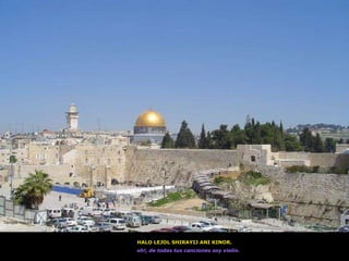 HALO LEJOL SHIRAYIJ ANI KINOR. oh!, de todas tus canciones soy violín.   Temple mount and maque 
