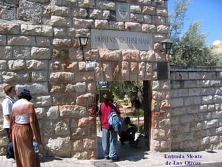 Entrada Monte de Los Olivos 