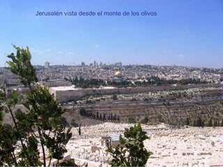 Jerusalén vista desde el monte de los olivos
 