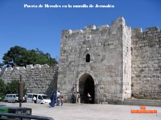Puerta de Herodes en la muralla de Jerusalén
 
