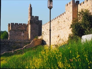 CANCIÓN-ANA Murray –  ME NECESITAS  