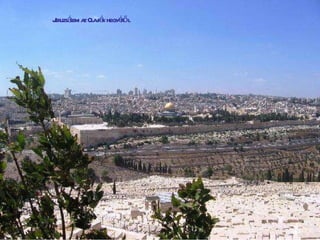 Jeru zsálem az Olajfák hegyéről 