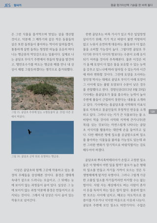 답사기JES 몽골 항가이산맥 기슭을 한 바퀴 돌다
120
은 그런 식물을 즐겨먹으며 맛있는 살을 생산할
것이고, 덕분에 그 메뚜기와 같은 작은 동물들의
살은 또한 들쥐들이 좋아하는 먹이라 달려들겠지.
통통하게 살찐 들쥐는 청정한 하늘을 유유히 떠다
니는 맹금류의 먹잇감으로는 일품이다. 실제로 나
는 골담초 무더기 주변에서 쥐들의 땅굴을 발견하
고, 텔만호수가를 떠도는 맹금류 떼를 만나 내 상
상이 제법 그럴듯하겠다는 생각으로 즐거워했다.
이상은 골담초와 함께 그곳에 작용하고 있는 풍
경의 주체들을 상상해본 것이다. 풍경은 생태계
속내가 겉으로 드러나는 모습이고, 그 뒤에는 눈
에 보이지 않는 과정들이 숨어 있다. 실상은 그 눈
에 보이지 않는 과정 덕분에 풍경은 만들어지고 유
지되는 것이다. 그래서 내 상상은 다시 숨어 있는
작용으로 넘어간다.
한편 골담초는 비록 가시가 있고 작은 잎일망정
살아가기 위해, 키가 작고 바람이 불면 저항하지
않고 누워서 유연하게 대응하는 풀들보다 더 많은
물을 소비할 가능성이 높다. 그렇다면 골담초 무
더기와 무더기 사이의 땅보다는 수분이 오래 유지
되기 어려울 것이라 추측해본다. 물론 이것은 비
가 올 때 토양이 더 많은 물을 보유할 수 있는 능력
을 갖추고 있느냐에 따라 달라질 수 있는지라 시간
에 따라 변화할 것이다. 그런데 토양을 조사하는
장인영 박사는 대체로 골담초 무더기 아래 토양이
그 사이에 있는 풀밭 토양보다 수분이 낮은 경우
를 관찰했다고 한다. 경향신문(2013년 8월 29일)
기사에는 좀골담초가 물을 흡수하는 능력이 높아
주변에 풀들이 근접하지 못한다는 내용을 소개하
고 있다. 기사에서는 좀골담초를 사막화의 지표식
물로 지목하고 몽골인들의 부정적인 반응을 소개
하고 있다. 그러나 나는 키가 큰 식물보다는 물 소
비량이 적을 것이라 사막화 지역에 큰키나무(관
목)을 심는 것보다는 자연스럽게 나타나는 골담
초 서식지를 활용하는 대안에 손을 들어주고 싶
다. 다만 메마른 땅에 질소를 공급함으로써 질소
를 좋아하는 식물들을 불러올 가능성도 있는데 과
연 그러한 변화가 장기적으로 바람직할지는 검토
해두어야 하겠다.
골담초와 뿌리혹박테리아가 손잡고 고정한 질소
들은 이 땅에서 어떤 일을 할까? 쓸모가 높은 형태
의 질소를 만들고 자기들 가까이 모으는 것은 두
생명체에게 맡겨진 숙명이다. 그러나 그렇게 가공
한 고품질 질소를 자기들끼리만 차지할 수는 없는
법이다. 사람 사는 세상에서도 버는 사람이 혼자
서 돈을 독차지 하는 일은 쉽지 않다. 충분히 많으
면 모르는 사이에 넘치고, 때로는 의도적으로 씀
씀이를 키우거나 넉넉한 마음으로 이웃과 나눈다.
골담초 주변에 모인 질소도 마찬가지다. 수많은
그림 16. 골담초 군락 위로 유영하는 맹금류.
그림 15. 골담초 주위에 있는 소형동물의 굴. 25일 다른 곳
에서 찍었다.
 