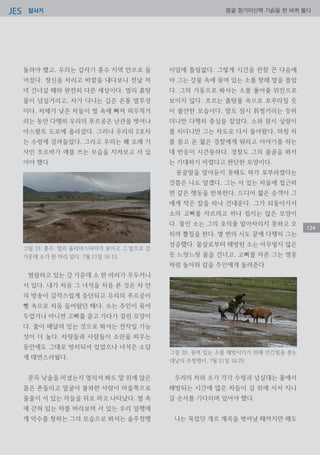 답사기JES 몽골 항가이산맥 기슭을 한 바퀴 돌다
124
돌려야 했고, 우리는 갑자기 홍수 지역 안으로 들
어섰다. 정신을 차리고 바깥을 내다보니 전날 저
녁 건너갈 때와 완전히 다른 세상이다. 멀리 흙탕
물이 넘실거리고, 차가 다니는 길은 온통 벌투성
이다. 차체가 낮은 차들이 벌 속에 빠져 허우적거
리는 동안 다행히 우리의 푸르공은 난관을 벗어나
아스팔트 도로에 올라섰다. 그러나 우리의 2호차
는 수렁에 걸려들었다. 그리고 우리는 꽤 오래 기
사인 조르바가 애를 쓰는 모습을 지켜보고 서 있
어야 했다.
범람하고 있는 강 가운데 소 한 마리가 우두커니
서 있다. 내가 처음 그 녀석을 처음 본 것은 차 안
의 방송이 갑작스럽게 중단되고 우리의 푸르공이
뻘 속으로 처음 들어왔던 때다. 소는 주인이 묶어
두었거나 아니면 고삐를 끌고 가다가 걸린 모양이
다. 줄이 매달려 있는 것으로 봐서는 전자일 가능
성이 더 높다. 차량들과 사람들이 소란을 피우는
동안에도 그대로 방치되어 있었으나 녀석은 소답
게 태연스러웠다.
문득 낮술을 마셨는지 멀리서 봐도 말 위에 앉은
몸은 흔들리고 얼굴이 불콰한 사람이 마을쪽으로
줄줄이 서 있는 차들을 뒤로 하고 나타났다. 벌 속
에 갇혀 있는 차를 바라보며 서 있는 우리 일행에
게 악수를 청하는 그의 모습으로 봐서는 술주정뱅
이임에 틀림없다. 그렇게 시간을 한참 끈 다음에
야 그는 강물 속에 묶여 있는 소를 향해 말을 몰았
다. 그의 거동으로 봐서는 소를 풀어줄 위인으로
보이지 않다. 흐르는 흙탕물 속으로 꼬꾸라질 듯
이 불안한 모습이다. 말도 잠시 휘청거리는 듯하
더니만 다행히 중심을 잡았다. 소와 잠시 실랑이
를 치더니만 그는 차도로 다시 돌아왔다. 마침 차
를 끌고 온 젊은 경찰에게 뭐라고 이야기를 하는
데 반응이 시큰둥하다. 경찰도 그의 몰골을 봐서
는 기대하기 어렵다고 판단한 모양이다.
몽골말을 알아듣지 못해도 혀가 꼬부라졌다는
것쯤은 나도 알겠다. 그는 서 있는 차들에 접근하
면 같은 행동을 반복한다. 드디어 젊은 승객이 그
에게 작은 칼을 하나 건네준다. 그가 되돌아가서
소의 고삐를 자르려고 하나 쉽지는 않은 모양이
다. 묶인 소는 그의 호의를 알아차리지 못하고 오
히려 뿔질을 한다. 몇 번의 시도 끝에 다행히 그는
성공했다. 물살로부터 해방된 소는 아무렇지 않은
듯 느릿느릿 물을 건너고, 고삐를 자른 그는 영웅
처럼 돌아와 칼을 주인에게 돌려준다.
우리의 차와 소가 각각 수렁과 넘실대는 물에서
해방되는 시간에 많은 차들이 길 위에 서서 지나
갈 순서를 기다리며 있어야 했다.
나는 묵었던 게르 계곡을 벗어날 때까지만 해도
그림 19. 홍수. 멀리 울리아스타이가 보이고 그 앞으로 강
가운데 소가 한 마리 있다. 7월 21일 16:13
그림 20. 묶여 있는 소를 해방시키기 위해 안간힘을 쏟는
대낮의 주정뱅이. 7월 21일 16:29
 