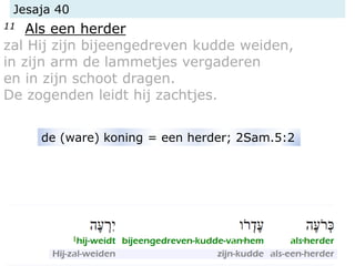 Jesaja 40
11 Als een herder
zal Hij zijn bijeengedreven kudde weiden,
in zijn arm de lammetjes vergaderen
en in zijn schoot dragen.
De zogenden leidt hij zachtjes.
de (ware) koning = een herder; 2Sam.5:2
 