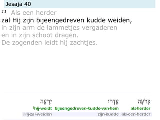 Jesaja 40
11 Als een herder
zal Hij zijn bijeengedreven kudde weiden,
in zijn arm de lammetjes vergaderen
en in zijn schoot dragen.
De zogenden leidt hij zachtjes.
 