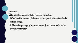 Functions:
Limits the amount of light reaching the retina.
Controls the amount of chromaticand spheric aberration in the
retinal image.
 Allows the passage of aqueous humor from the anterior to the
posterior chamber.
 