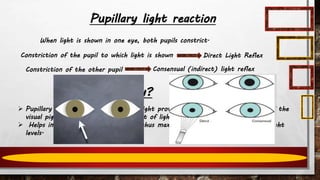 Pupillary light reaction
When light is shown in one eye, both pupils constrict.
Constriction of the pupil to which light is shown Direct Light Reflex
Constriction of the other pupil Consensual (indirect) light reflex
Why?
 Pupillary constriction in response to light protects against excessive bleaching of the
visual pigment by reducing the amount of light entering the eye.
 Helps in light and dark adaptation, thus maximises visual acuity at different light
levels.
 